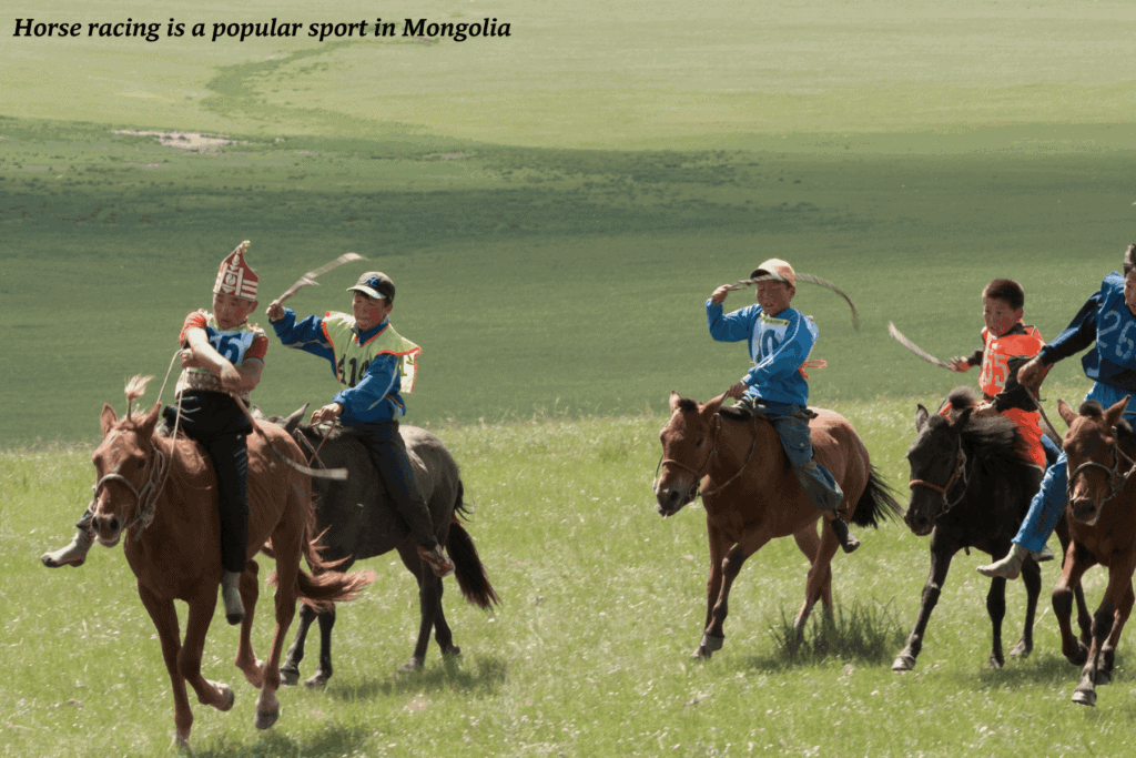 Men ride horses through the fields of a national park in Mongolia - Naadam Festival