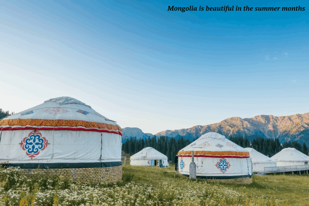 White yurts in a field in rural Mongolia - Naadam Festival