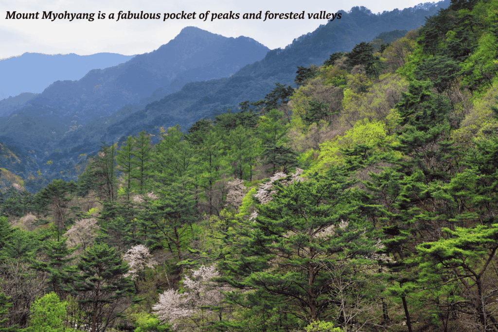 Trees and mountains in the Myohyangsan area in North Korea. -reasons to visit North Korea
