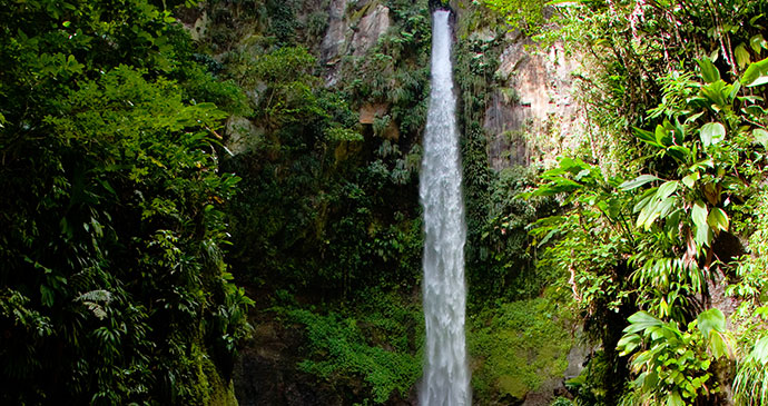 Sari Sari Falls Dominica © Paul Crask