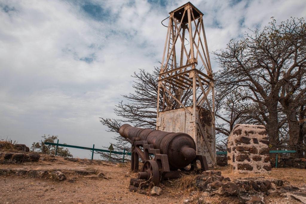 Fort James The Gambia Africa ruins by Damian Pankowiec Shutterstock