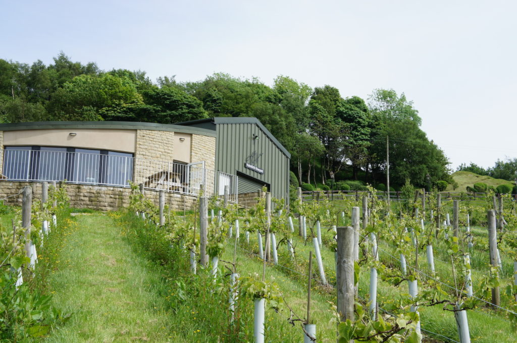 Holmfirth Vineyard peak District by Chris Flickr