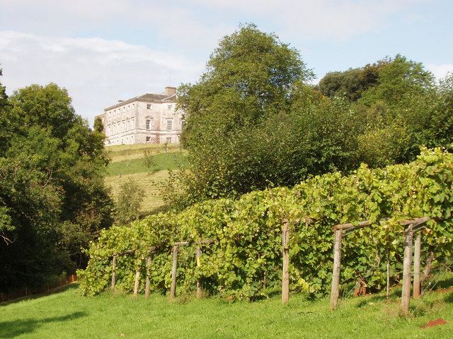 Sharpham House and Vineyard Devon by David Hawgood Wikimedia Commons best vineyards england