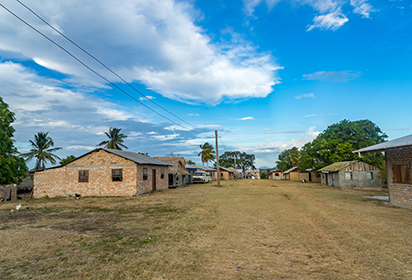 guyana travel health information