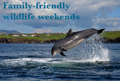 Family-friendly wildlife weekends