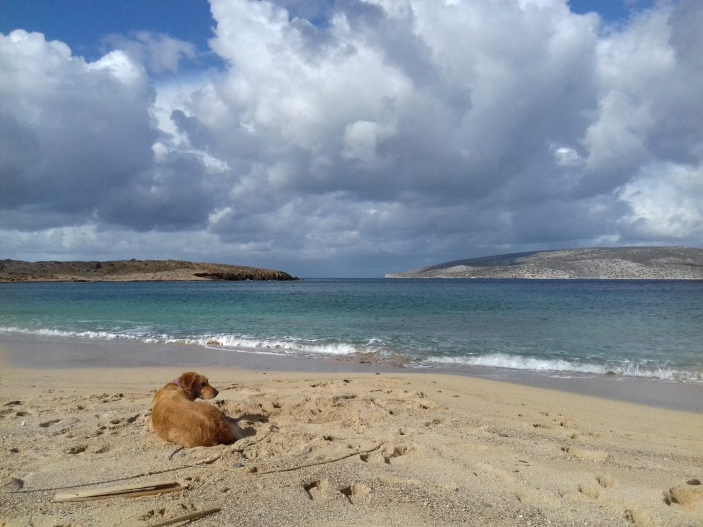 Beach Astypalea Dodecanese