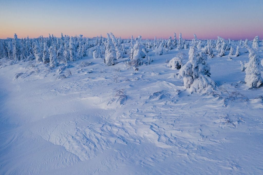 Enchanted Forest Alaska otherworldly landscapes