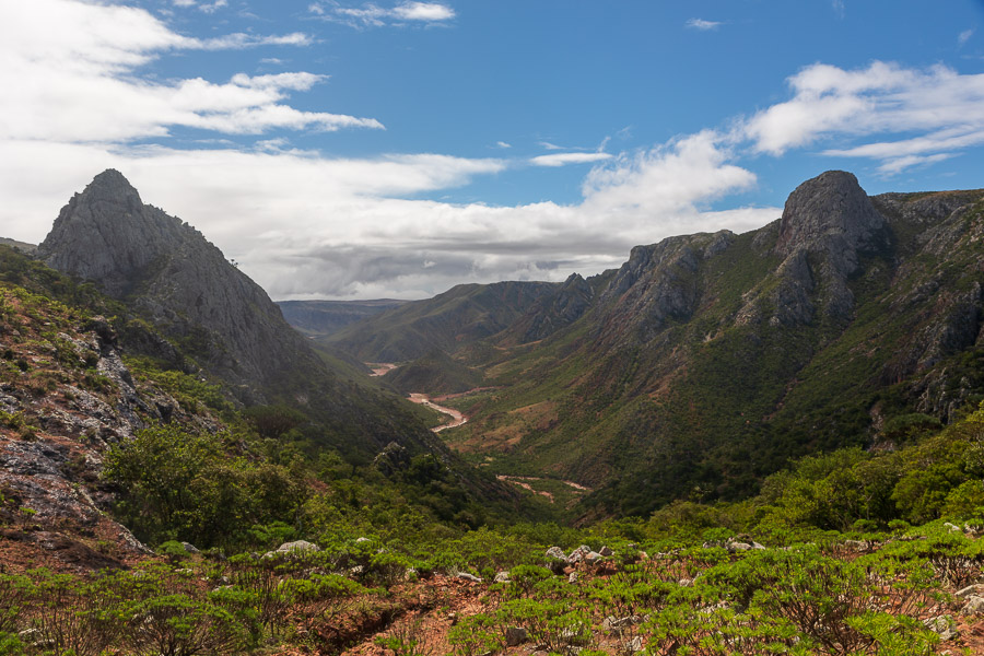 Wadi Da'asqalah Socotra Chris Miller