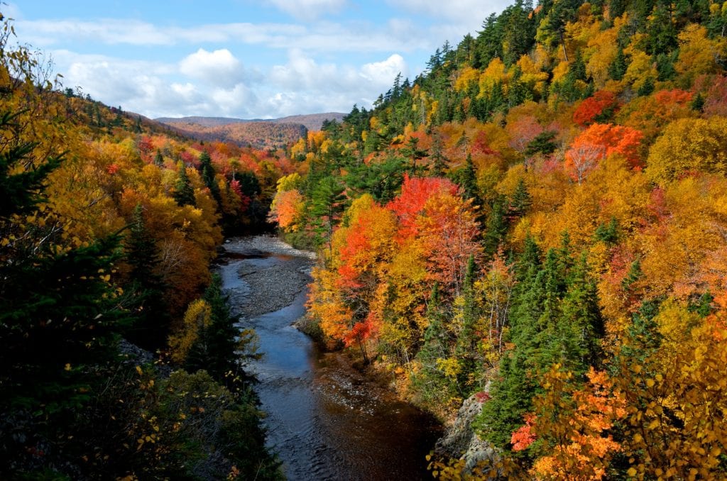 Cape Breton Highlands National Park, Nova Scotia Canada by Nova Scotia Tourism best forests in the world