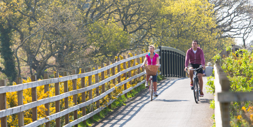 Exe Estuary Trail East Devon UK by Tony Cobley Heart of Devon Images