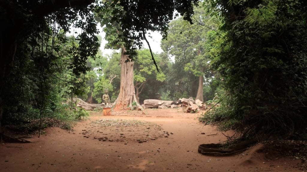 Kpasse forest, Benin by Kulttuurinavigaattori, Wikimedia Commons