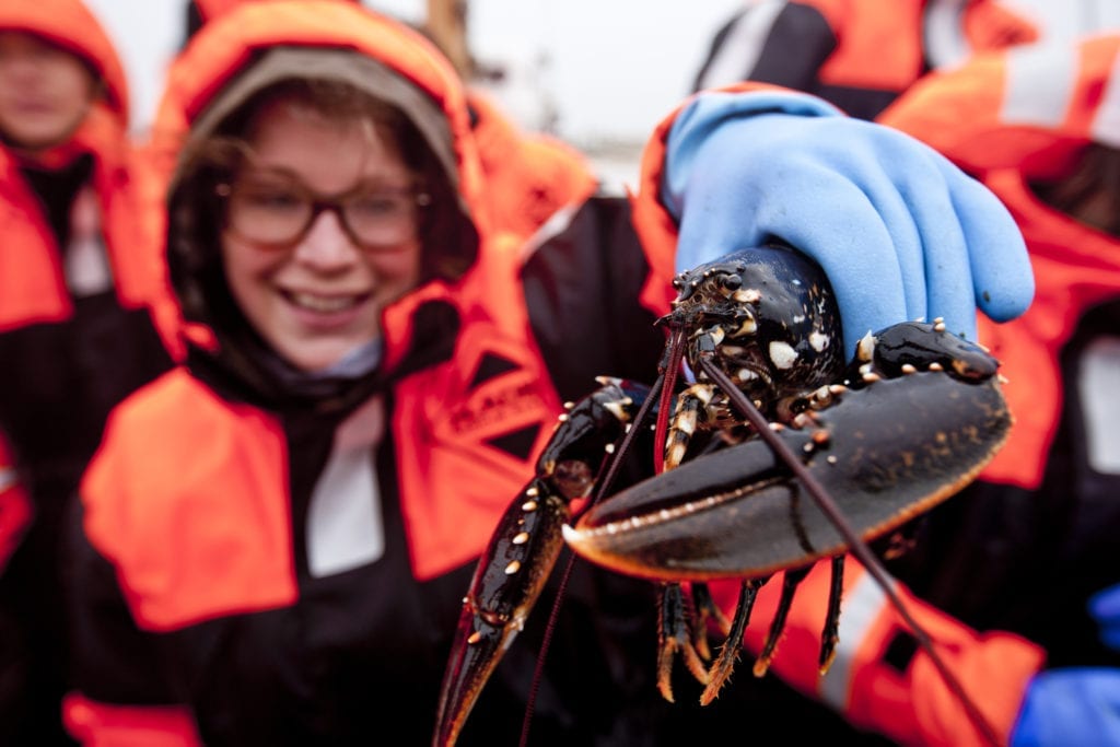 Lobster seafood safari West Sweden by West Sweden Tourism