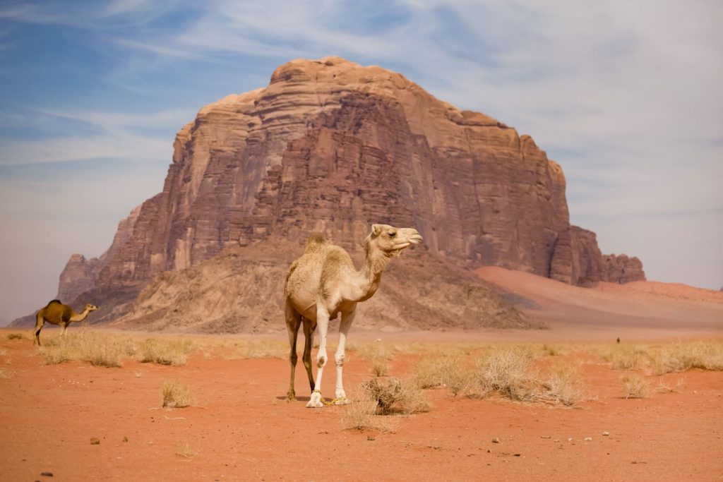 Wadi Rum Desert Jordan otherworldly landscapes