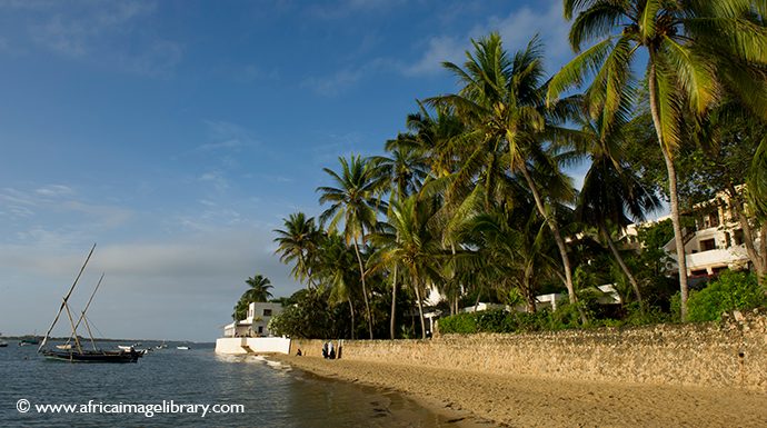 Shela beach Kenya by Ariadne Van Zandbergen Africa Image Library
