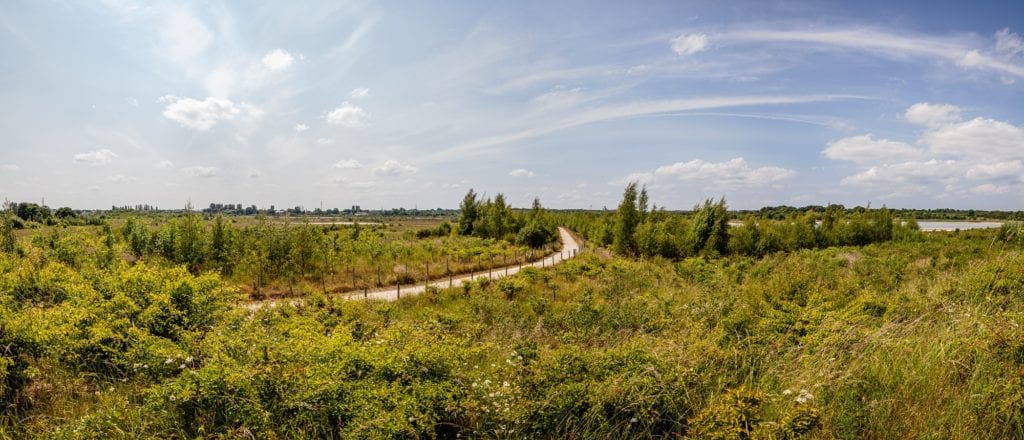 Northwich Woodlands Cheshire by Glen Berlin Shutterstock outdoor attractions