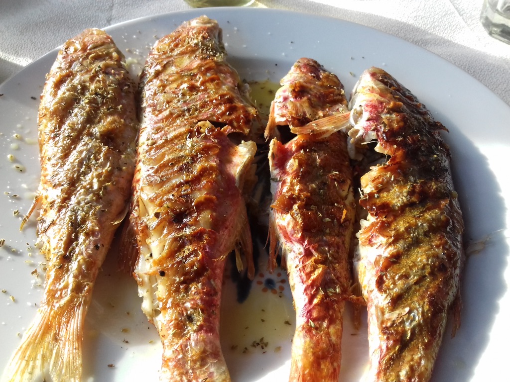 red mullet greece