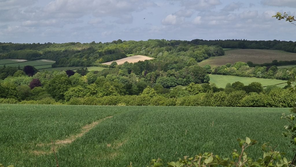 Beautiful fields Hampden house