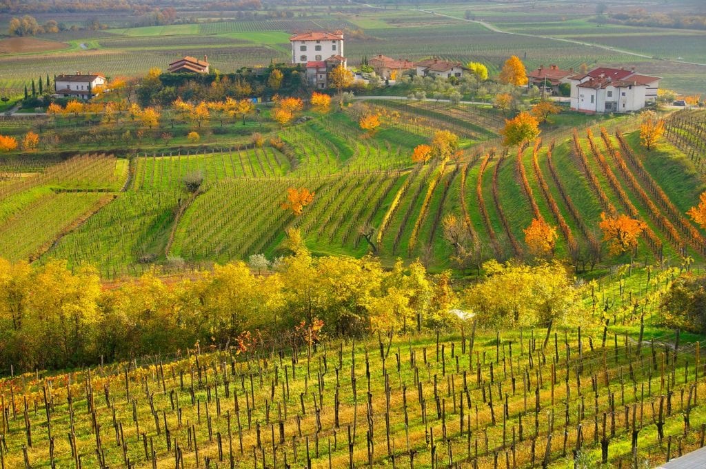 The Collio, vineyards, wine, Italy's finest attractions by Luciano Mortula LGM, Shutterstock Italy travel lockdown