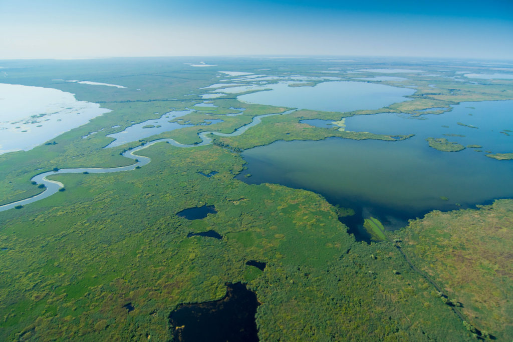 Danube Delta Romania by iliuta goean Shutterstock