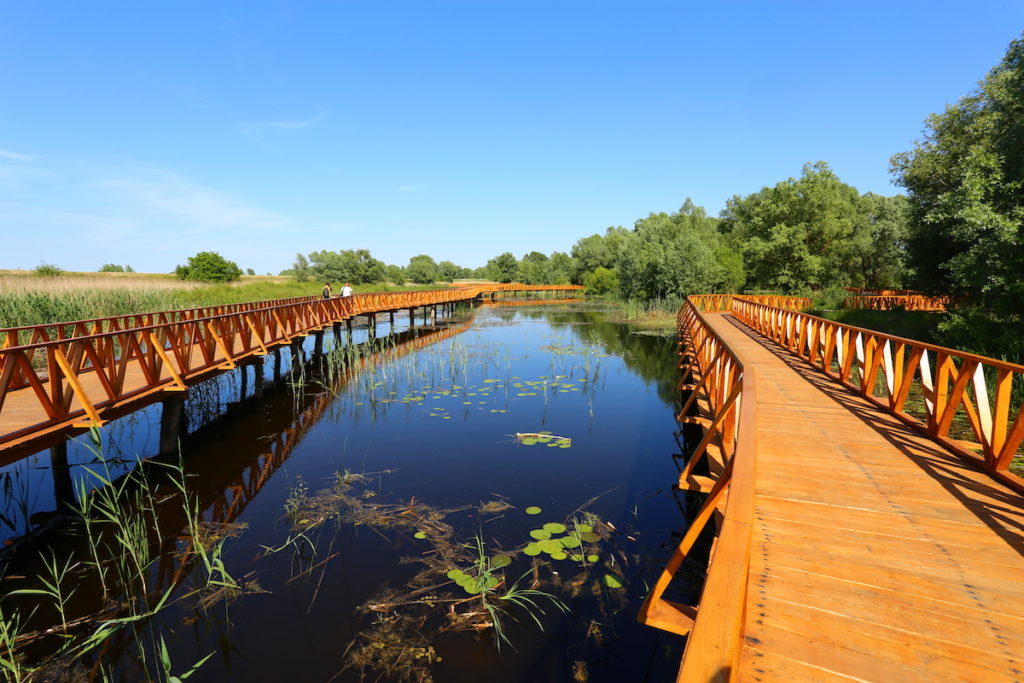 Kopački Rit Croatia Wooden Trail by Misalalic Wikimedia Commons