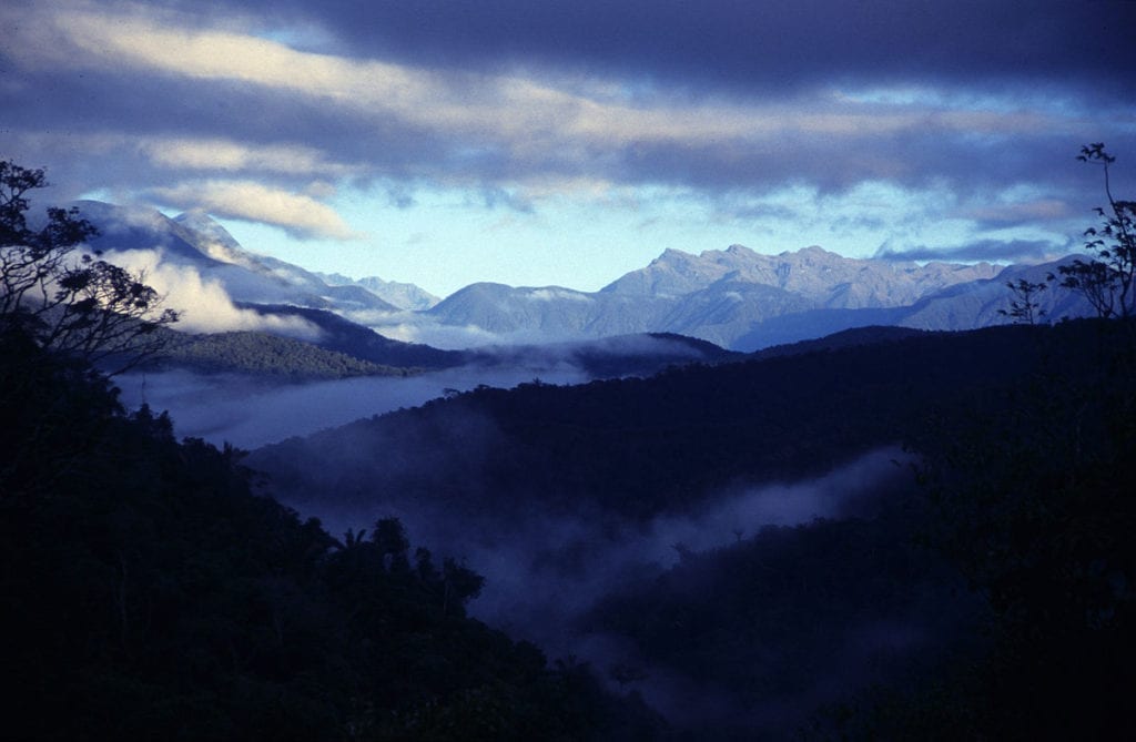 Madidi National Park Bolivia by Michael Kessler Wikimedia Commons