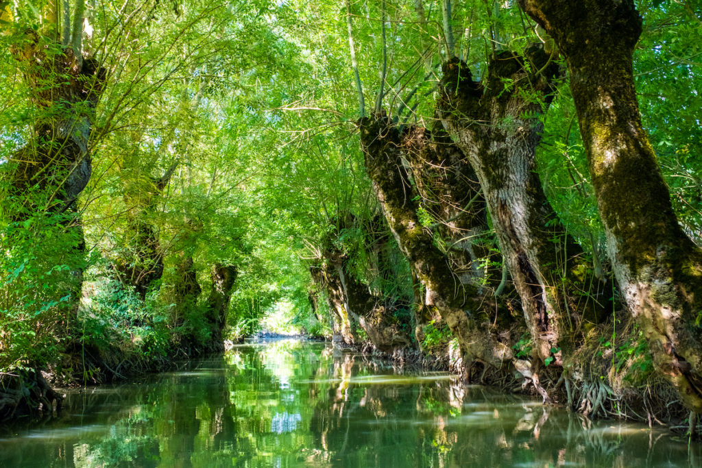 Marais Poitevin Waterways Vendee France by Elisa Locci Shutterstock