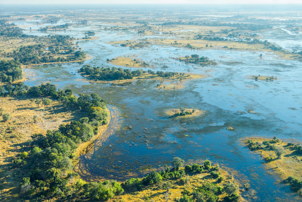 Okavango Delta Botswana by Vadim Petrakov Shutterstock