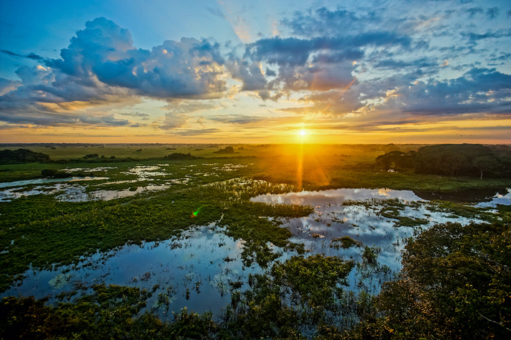 Pantanal Wetland Brazil Sunrise by Andre Maceira Shutterstock