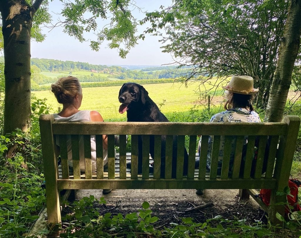 Burrough Woods Leicestershire Round