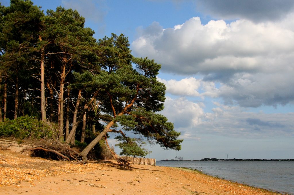 This image has an empty alt attribute; its file name is shutterstock_19431640_brownsea-island-1024x682.jpg
