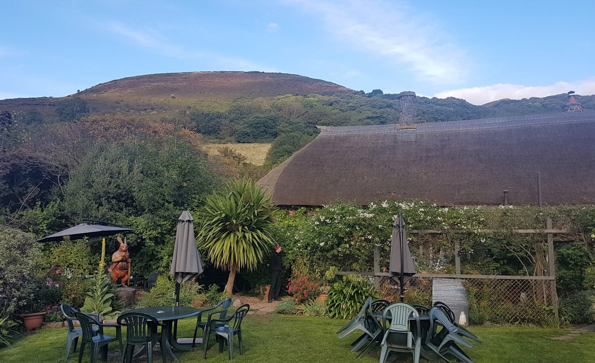Cream teas and soporific lunches Eating well in Exmoor