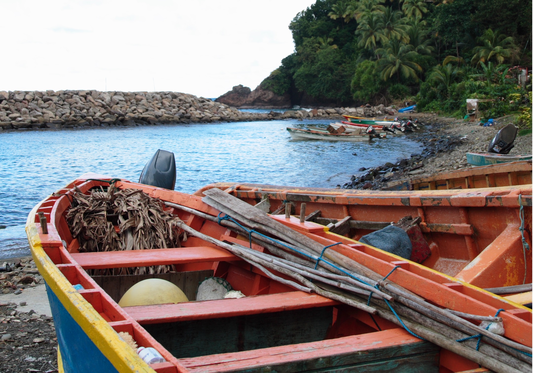 Health and safety on Dominica