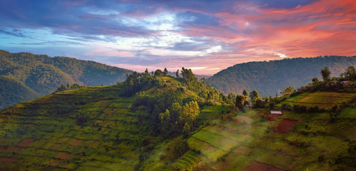 travel guide to uganda