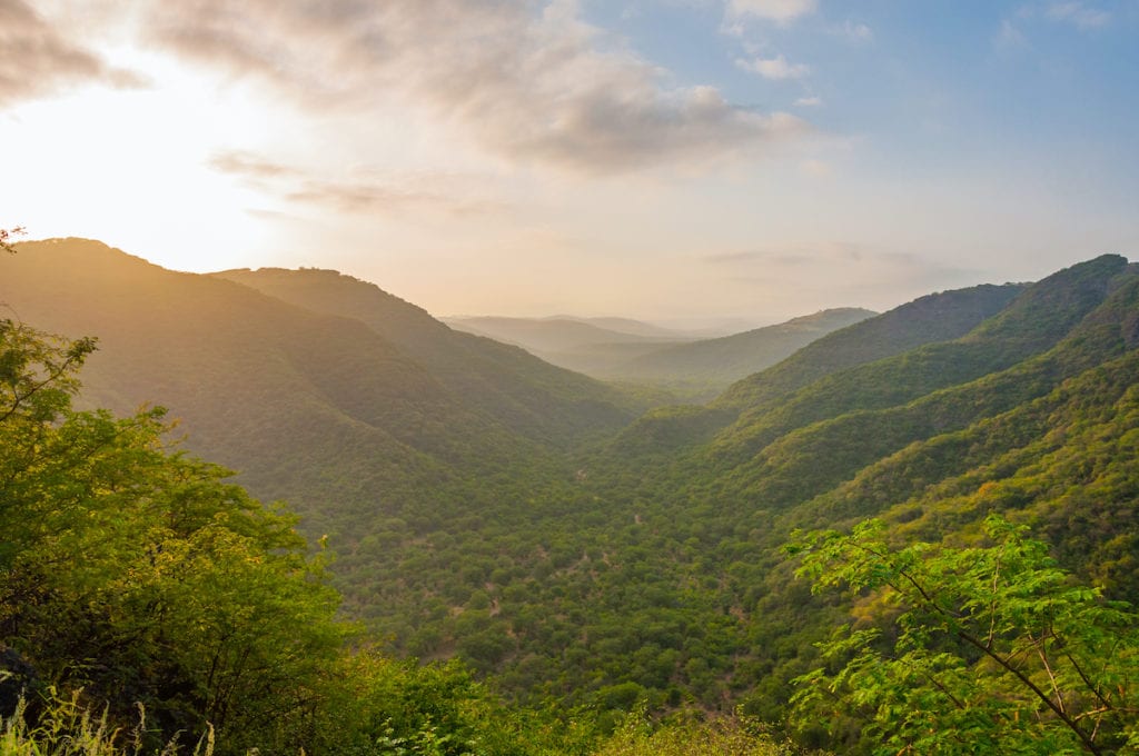 Salalah Forest during Khareef season by Ashraf Hamdan Shutterstock