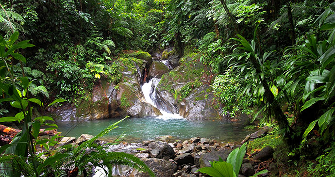 Charles Warner Secret Pool Dominica Natural Wonders Paul Crask