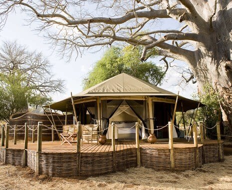 Sanctuary Swala Tanzania by Cox and Kings, travel deals 2021