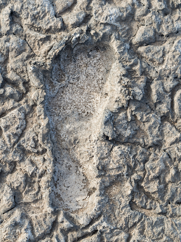 Engaresero footprints Lake Natron Tanzania by Magdalena Paluchowska, Shutterstock