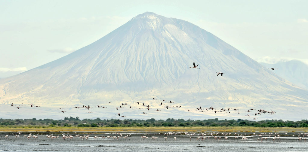 Lake Natron and Ol Doinyo Lengai Volcano Tanzania by Sergey Uryadnikov Shutterstock