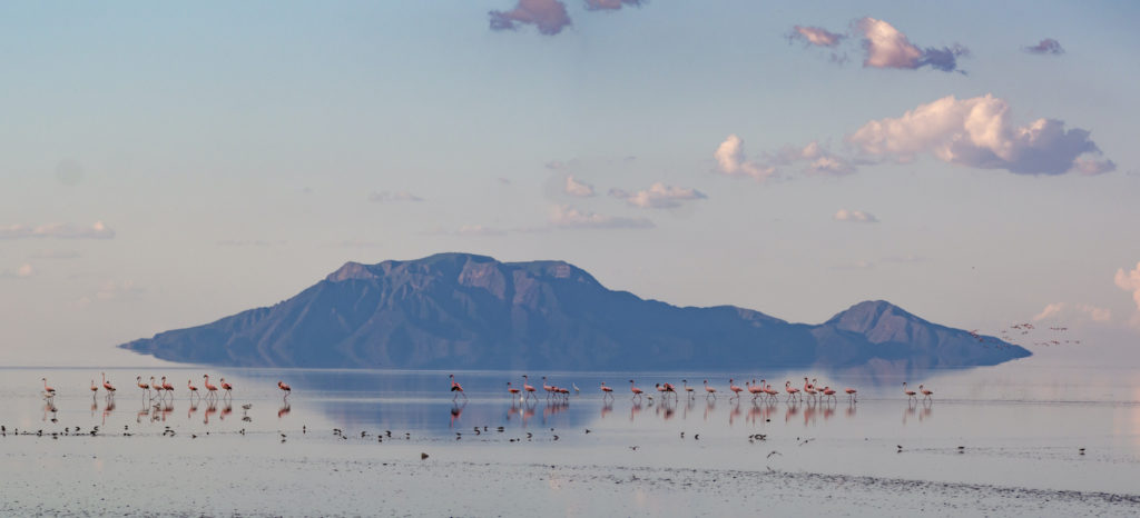 Lake Natron skyline Tanzania byt mathiasmoeller Shutterstock