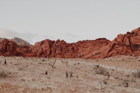 The Dream of the Desert