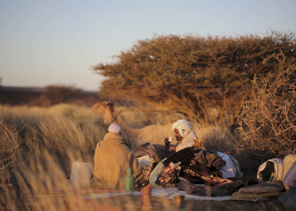 Desert oasis tea Sudan by Nicholas Holt