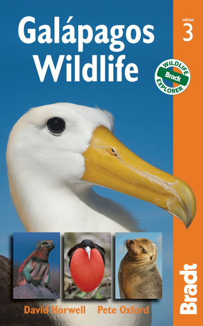 Galapagos Wildlife