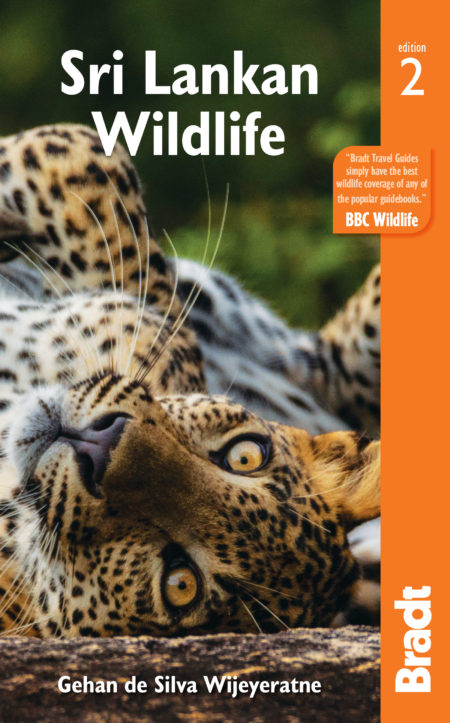 Sri Lankan Wildelife 2