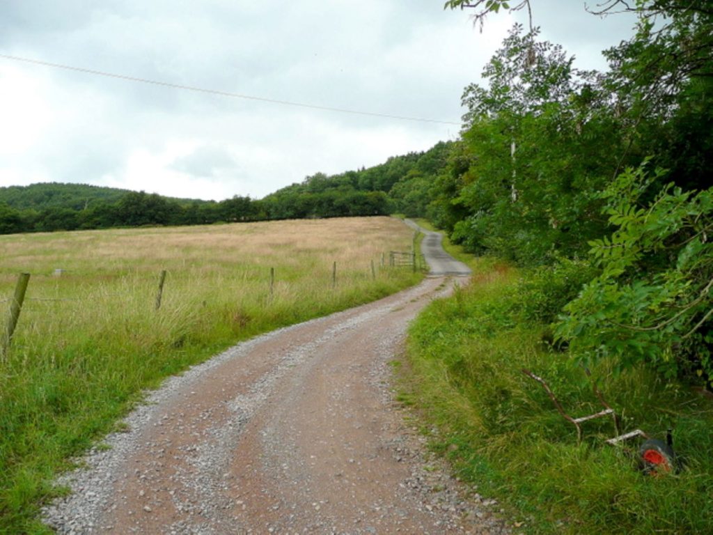 Buckholt Wood, Cranham Common, Cotswolds, Jonathan Billinger