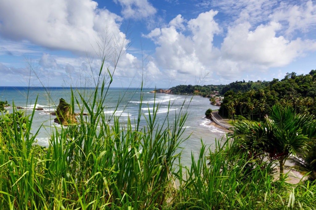 Calibishie Dominica by Paul Crask