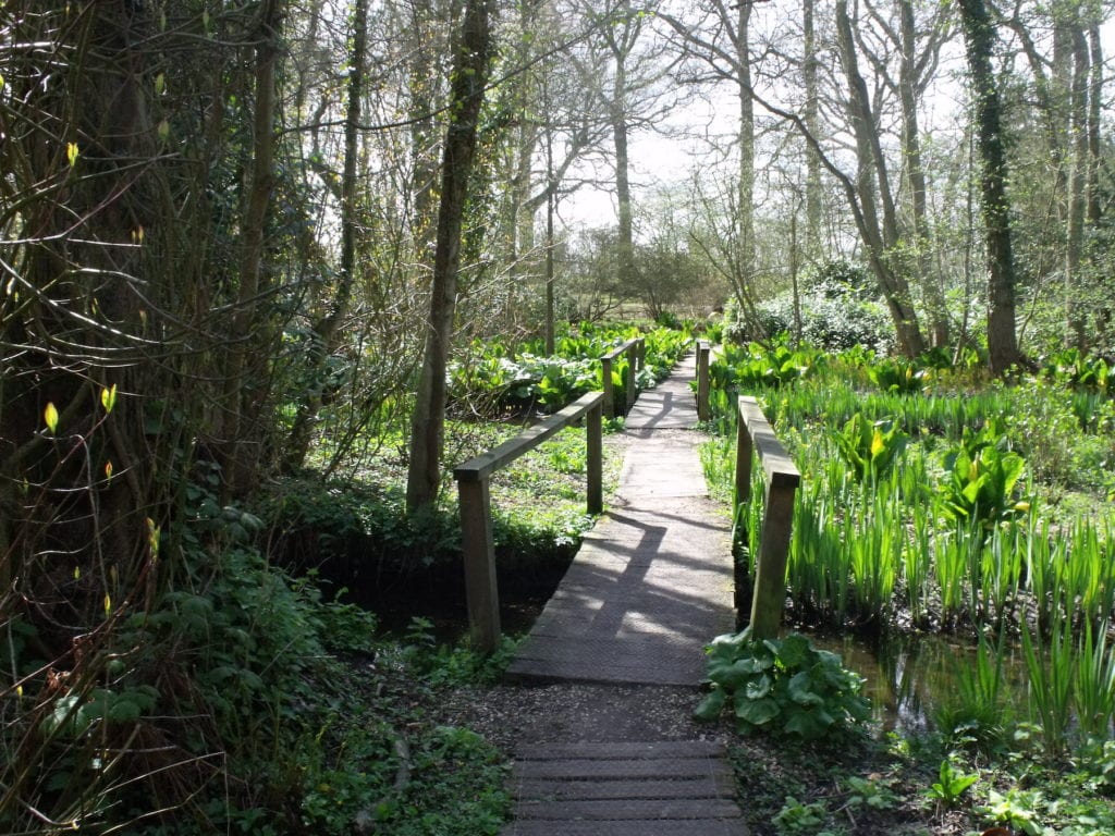 Fairhaven Woodland and Water Garden Norfolk by Elliott Brown Flickr