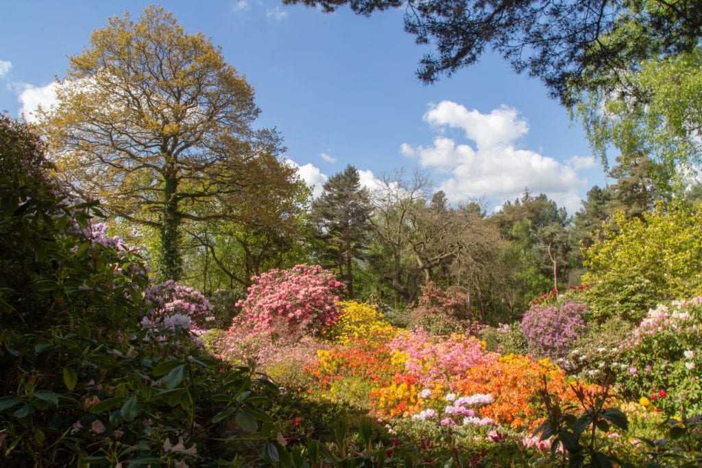 Lea Gardens Peak District by Tom Parnell Flickr