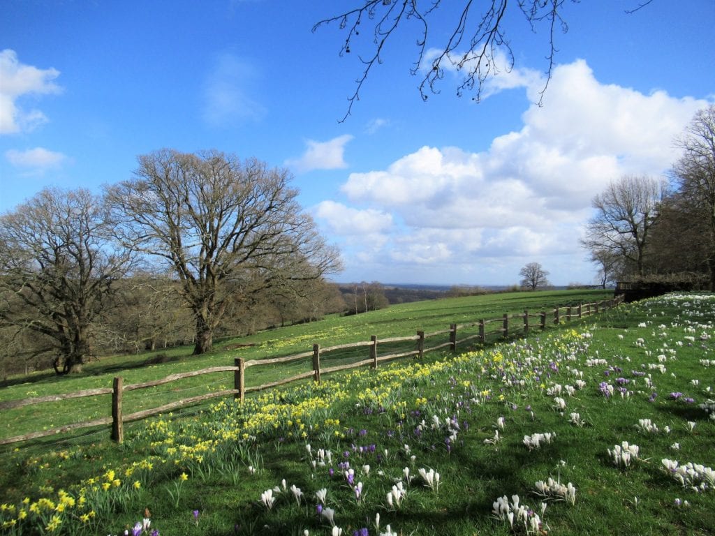 Nymans Best places to see spring flowers Sussex by Poliphilo Wikimedia Commons