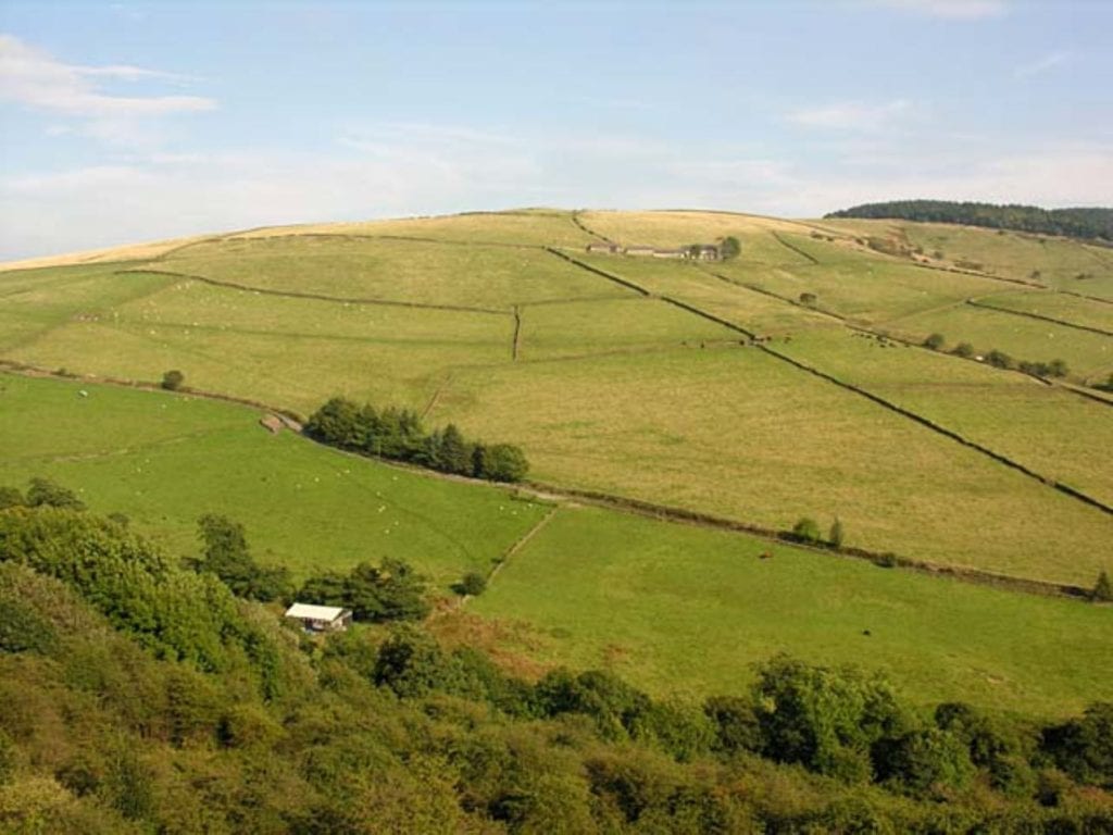 Tegg’s Nose Country Park, Cheshire, David Kitching