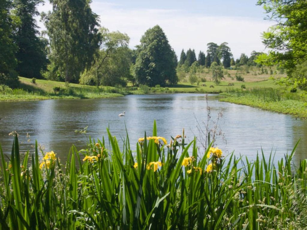 The Arboretum, Yorkshire, Harry Kingman